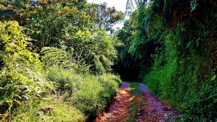 road 