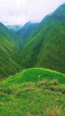 Fototapeta premium beauty mountain 