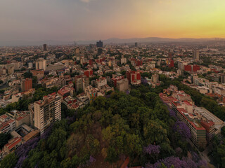 Naklejka premium La hora dorada desde el Parque México en la CDMX