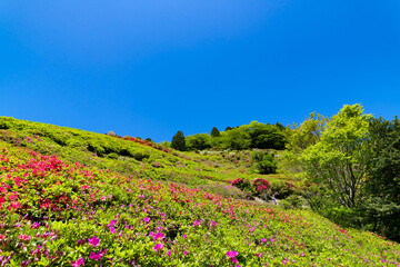 静岡県熱海市姫の沢公園