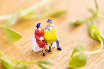 黄色い菜の花一輪とベンチに座るカップル