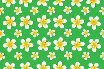 Obraz premium Plumeria flower pattern on green background