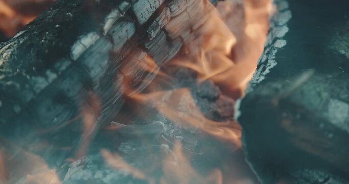 bornfire flames