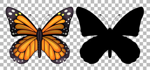 Butterfly and its silhouette on transparent background