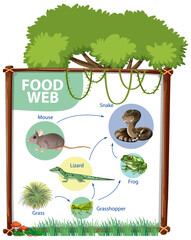 Food chain diagram concept © blueringmedia