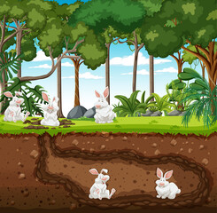 Underground animal burrow with rabbit family