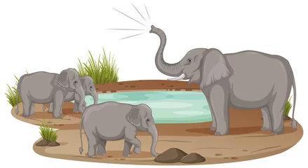 Elephant family standing at the pond isolated on white background © blueringmedia