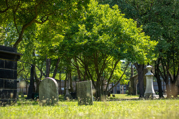 Cemetery in spring
