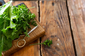 Eco-friendly fresh herbs from your garden. Home plant growing, healthy eating, vegetarian food. High quality photo