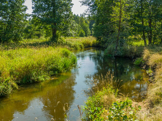 Fototapeta na wymiar Usa river on a summer sunny day in Belarus