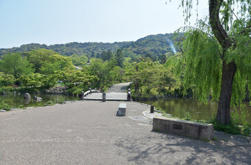 円山公園　京都市東山区