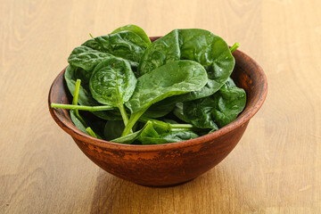 Fresh green spinach leaves in the bowl