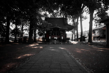 朝、小さな神社でお参りしている老人