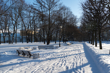 Alley of Smolny park. Sunny winter day. Sankt Petersburg, Russia.