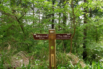 Wood sign. Mt. Takao is a mountain with an altitude of 599m in Hachioji, Tokyo. It has long been regarded as a sacred mountain for Shugendo.