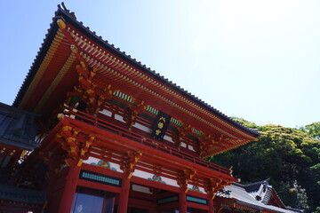 Fototapeta na wymiar 古都鎌倉のシンボル、鶴岡八幡宮