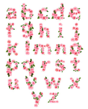 English alphabet made of beautiful rose flowers on white background