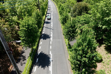 緑の中を走る軽トラ