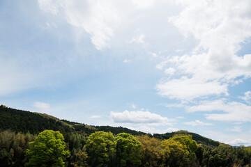 Fototapeta na wymiar 奈良県の吉野郡の景色
