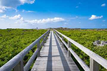 Obraz premium 沖縄 美ら島 宮古諸島 下地島の景勝地 通り池の遊歩道