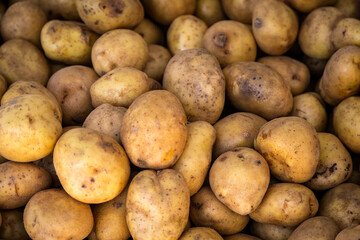 Fresh organic brown unpeeled potatoes on a fresh market, background. Potato texture. Lots of organic vegetables