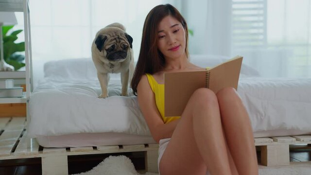 A beautiful asian woman reading book and talking her pet dog pug resting on bed in bedroom.  Enjoying relax time weekend with book in comfort cozy atmosphere.Animal enjoying its owner's love and care