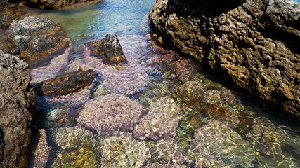 Tidal bore. Stone bottom. Clear water.
