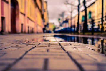 Rainy day in the big city, the sidewalk with trees. Close up view from the level of the puddle on the sidewalk