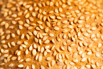 Freshly baked wholemeal bread roll with sesame seeds