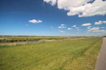 Grass and waterplants in the Eendragtspolder water storage
