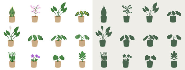Set of indoor plants in a flat style and silhouettes. Vector illustration of flowers in pots.