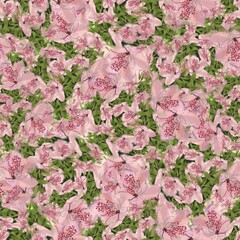 Azalea blossom flowers seamless floral pattern 