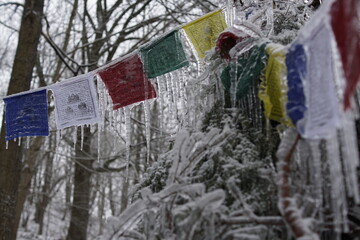 Ice stupa flags