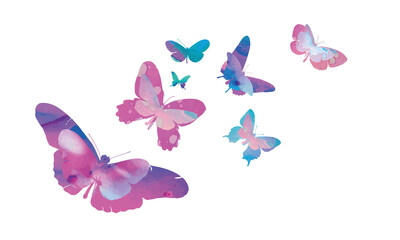 Obraz na płótnie Canvas Butterfly watercolor. Pink, rose wings on white backgroud. Fly, isolated vector. Butterflies colorful collection. Butterfly swarm. Set ocolorful butterflies. Vector illustration. Spring and summer.