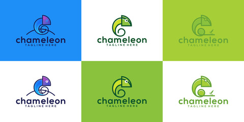 a collection of chameleon animal designs with modern line art styles and colors