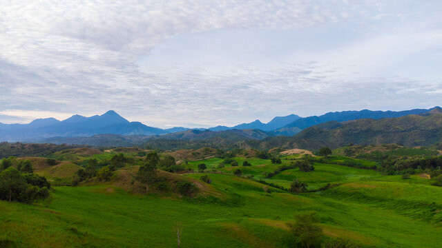 Aerial view of grass at the Indrapuri cattle farm (BPTU - HPT Indrapuri), Aceh, Indonesia.
