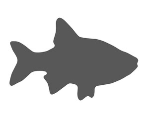 Grey silhouette of fish on white background
