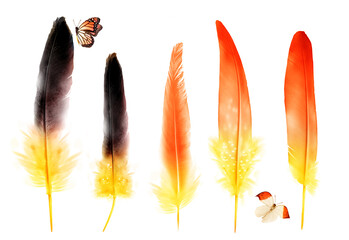 Collection of feathers of birds with small butterfly, isolated on white background. Set