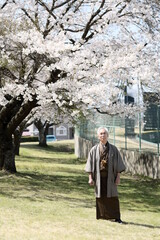 着物を着たシニア男性のポートレートと満開の桜