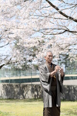Fototapeta na wymiar 俳句を詠む、着物を着たシニア男性と満開の桜