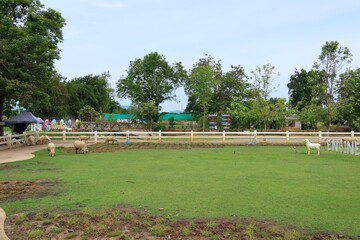 Obraz premium park in the city