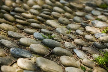 Reflexology massage area or a place provided by the advice for visitors to the lake park. Massage your feet by stepping on sharp stones. Selective focus side view