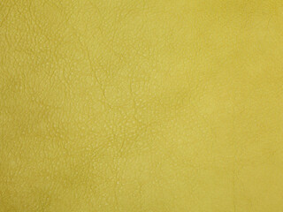 Green cattle leather texture background