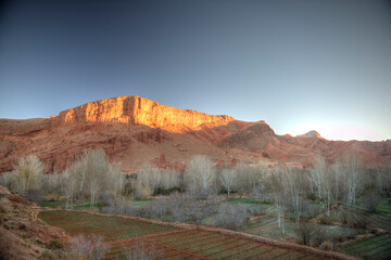 The Valley of Roses, Morocco, Africa
