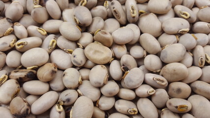 mucuna pruriens,monkey tamarind, velvet bean, Bengal velvet bean, Florida velvet bean, Mauritius velvet bean, Yokohama velvet bean, cowage, cowitch, lacuna bean, and Lyon bean