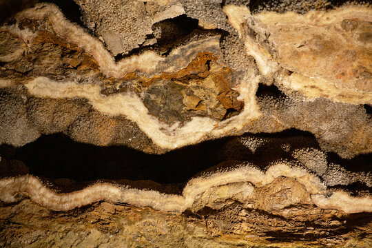 Jewel Cave National Monument In South Dakota, USA