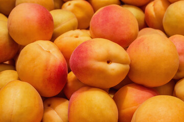 Fototapeta na wymiar Background / texture of juicy, fresh apricots. Ripe apricots (Latin: Prunus armeniaca), close-up.