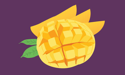 Tropical fruit illustration mango