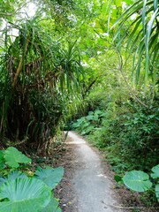 ハートロックへ続く道