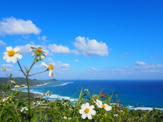用安海岸が見える丘